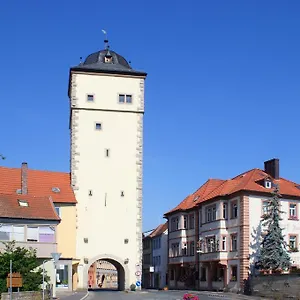 Bären Ochsenfurt